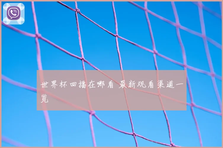 世界杯回播在哪看 最新观看渠道一览