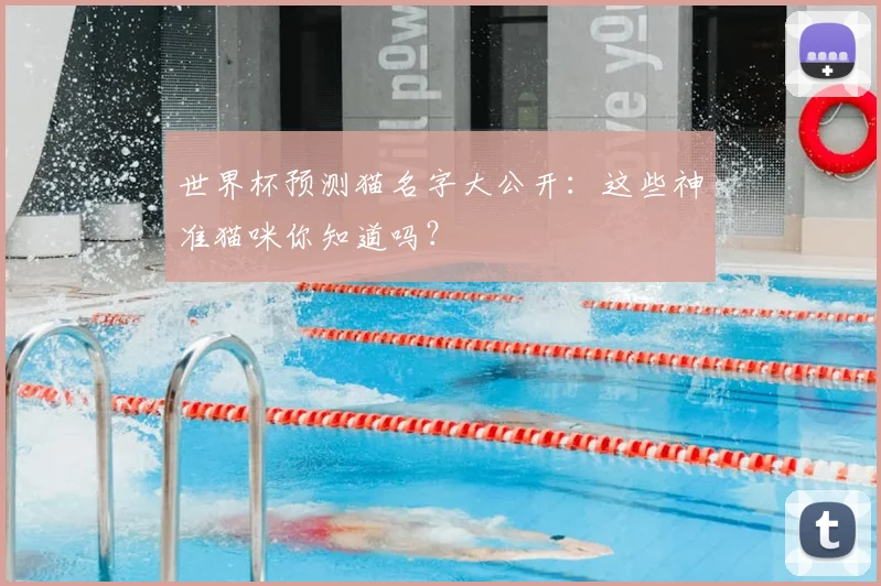 世界杯预测猫名字大公开：这些神准猫咪你知道吗？