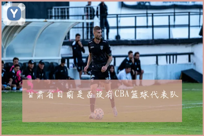 甘肃省目前是否设有CBA篮球代表队