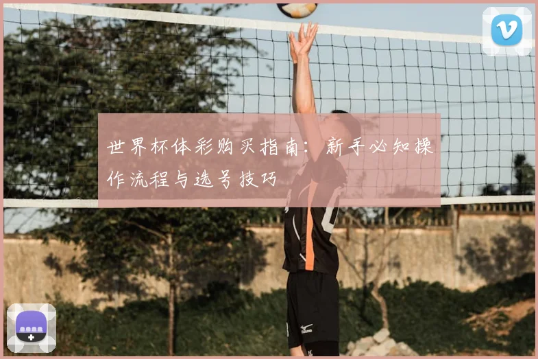 世界杯体彩购买指南：新手必知操作流程与选号技巧