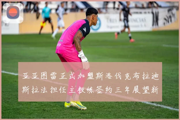 亚亚图雷正式加盟斯洛伐克布拉迪斯拉法担任主教练签约三年展望新篇章