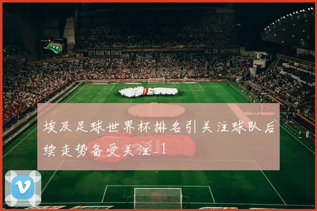 埃及足球世界杯排名引关注球队后续走势备受关注_1