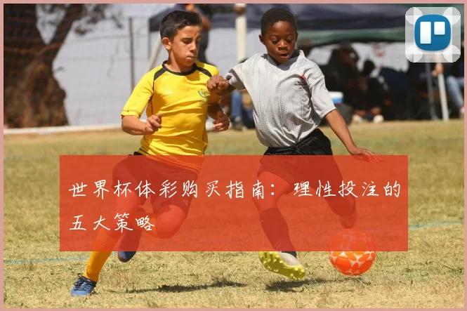 世界杯体彩购买指南：理性投注的五大策略
