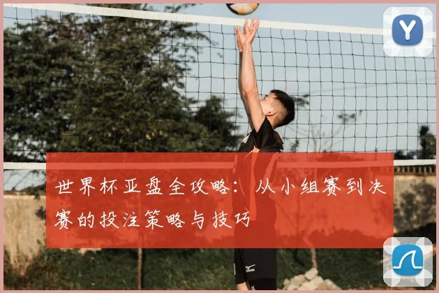 世界杯亚盘全攻略：从小组赛到决赛的投注策略与技巧