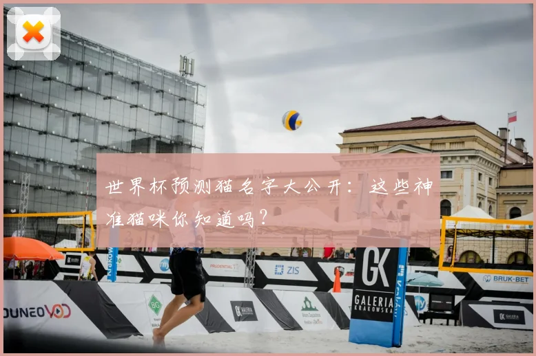 世界杯预测猫名字大公开：这些神准猫咪你知道吗？