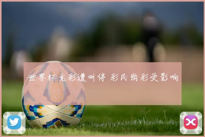 世界杯竞彩遭叫停 彩民购彩受影响