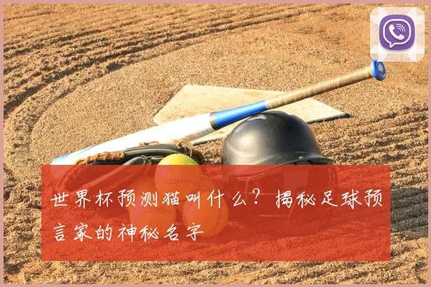 世界杯预测猫叫什么？揭秘足球预言家的神秘名字